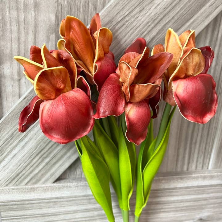 Angel Isabella - Wholesale Artificial Flowers - 18"-Ultra Soft Real Touch Bearded Iris Stem