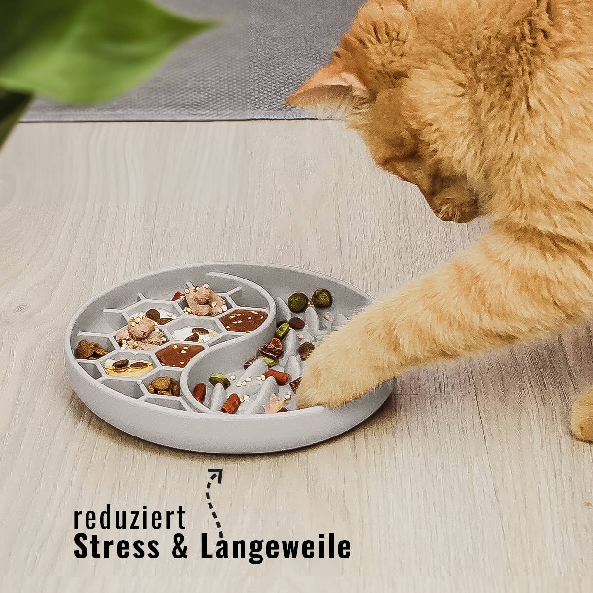 ne&no - Wholesale Pet Bowl - Cat/Dog - ne&no® Anti-Gulping Bowl / Licking Dish for Dogs & Cats31