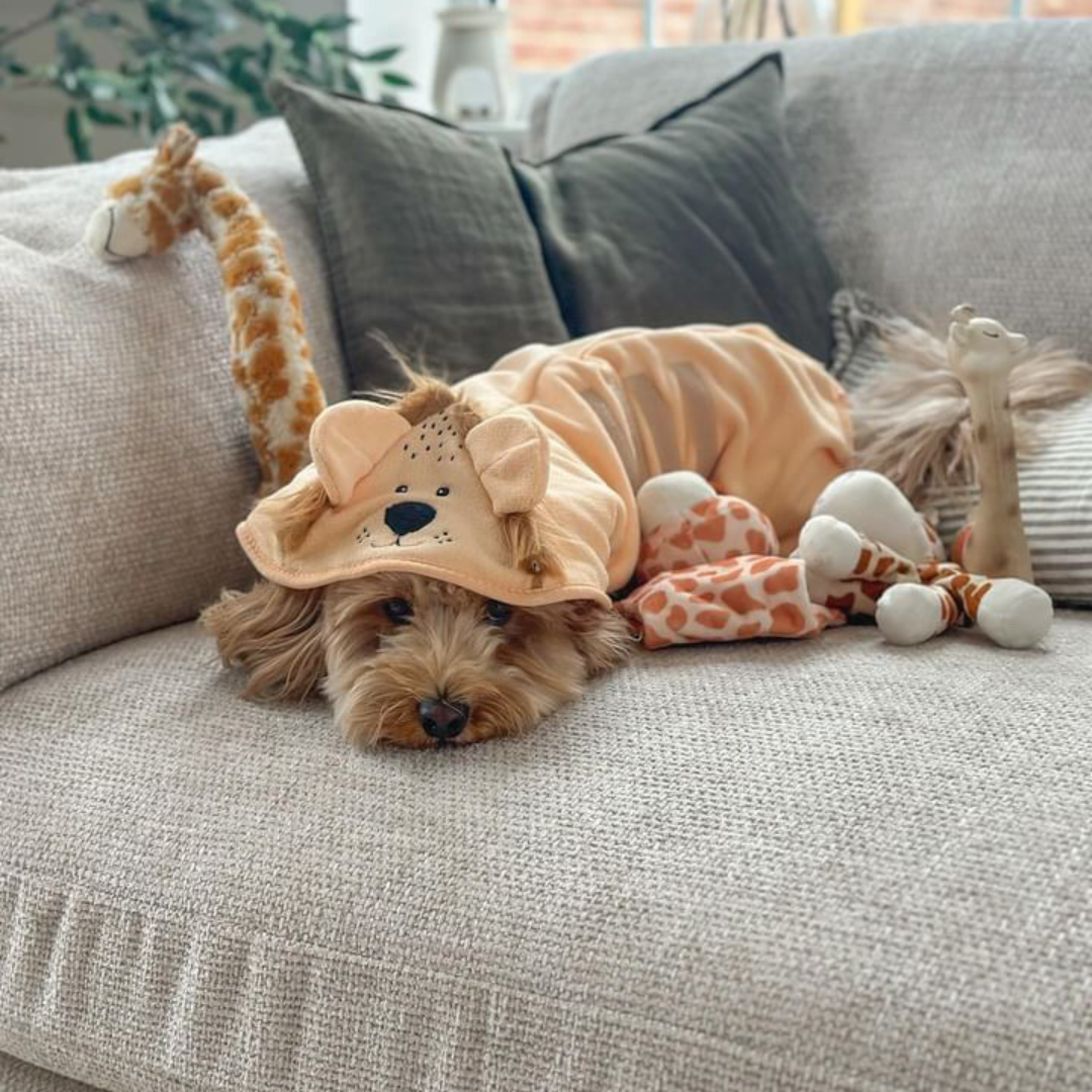 Cocopup London - Venta al por mayor Sudadera - Perros - Bata para secar perros Roary el León12