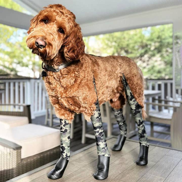 Final Sale - Deluxe Easy-On Boot Leggings - fashion colors. for wholesale by Walkee Paws