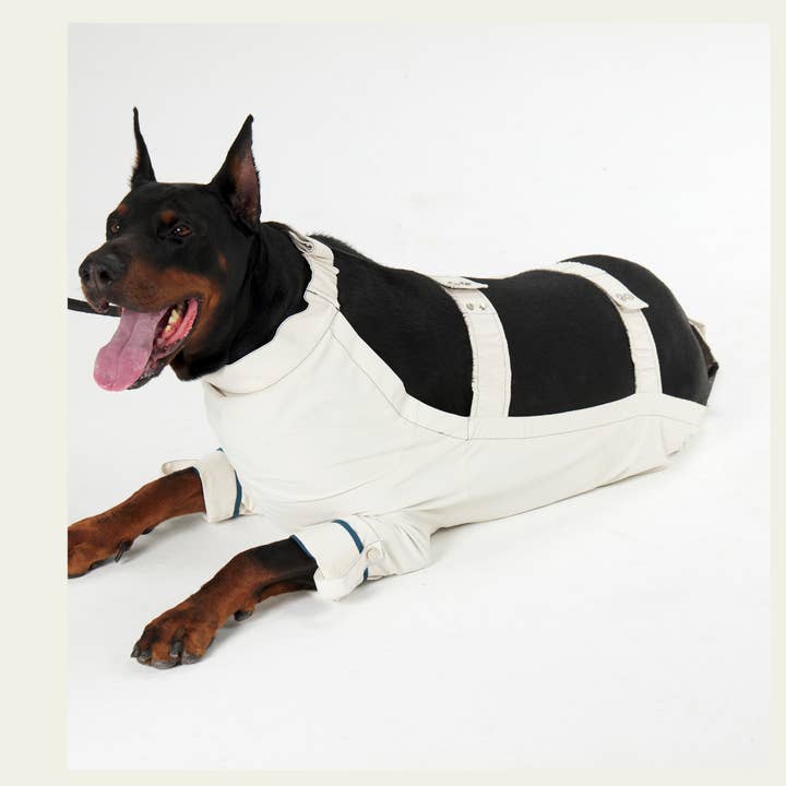 Large Dogs Rain system - Bodysuit (legs+ Belly) for wholesale by Heinemann Trading GbR