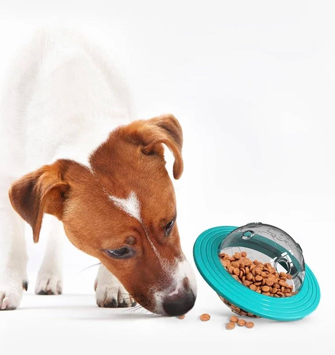 VIGOR - Wholesale Pet Toy - Dog - Puzzle Toys for Middle-Size Dogs , Nontoxic Bite-Resistant4