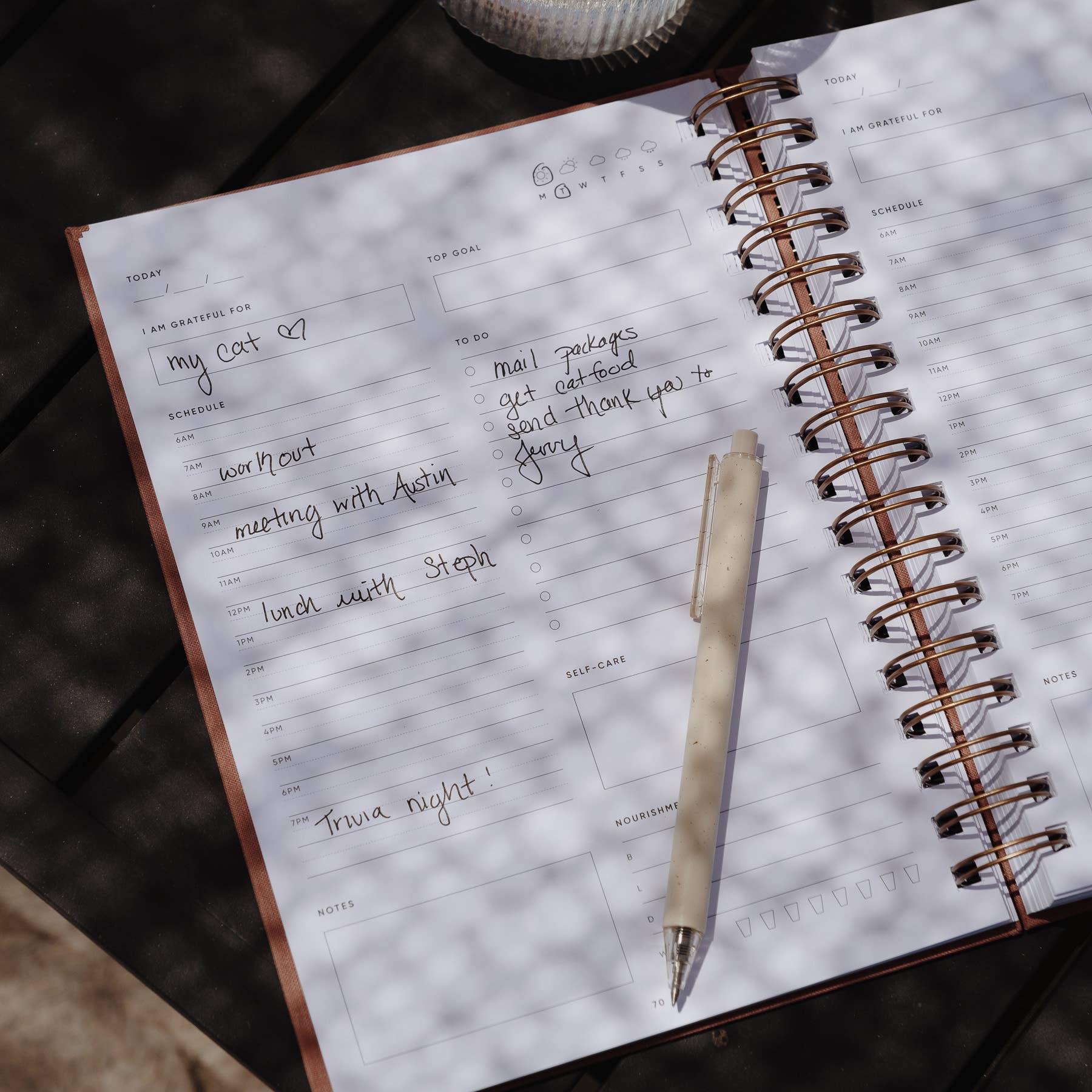 Simple Self - Wholesale Planner - The Self Care Planner Daily Edition14