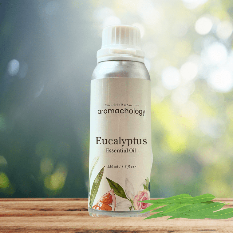 Aromachology - Wholesale Essential Oil - Organic Eucalyptus Essential Oil For Hair3