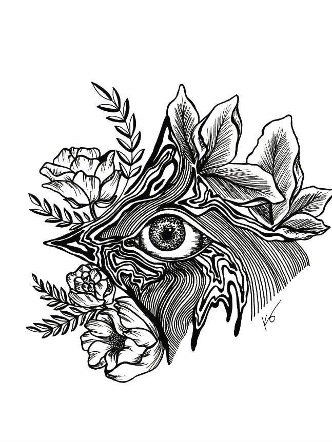 Stampa artistica Drishti (bulbo oculare, anatomia) per la vendita all'ingrosso da parte di Mind & Company