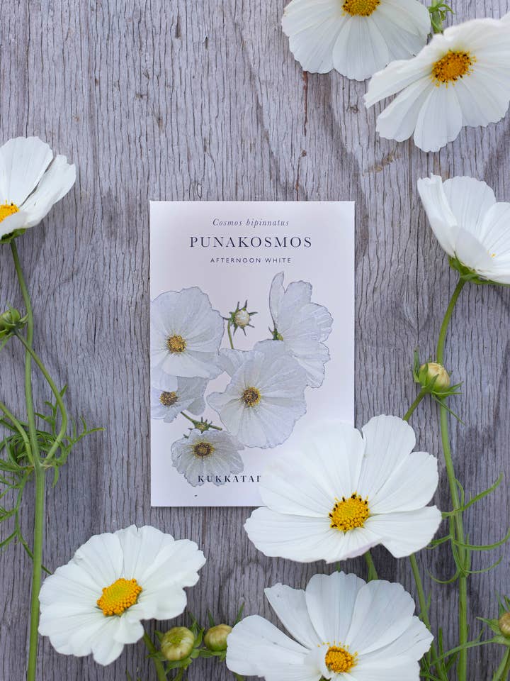 Punakosmos Afternoon White pour la vente par Kukkatarhurit