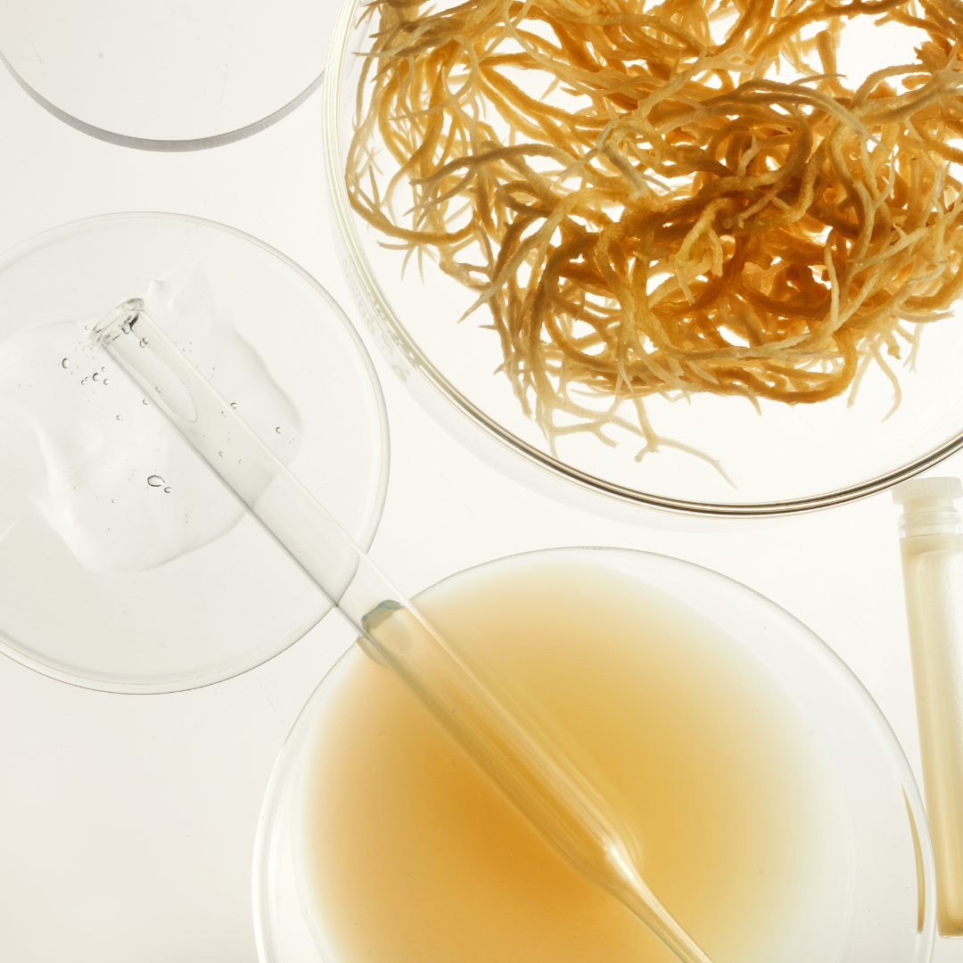 ATANA HEAD SPA, LLC - Wholesale Scalp/Hair Treatment - Head Butter:  Sea Moss & Beeswax Growth Balm5