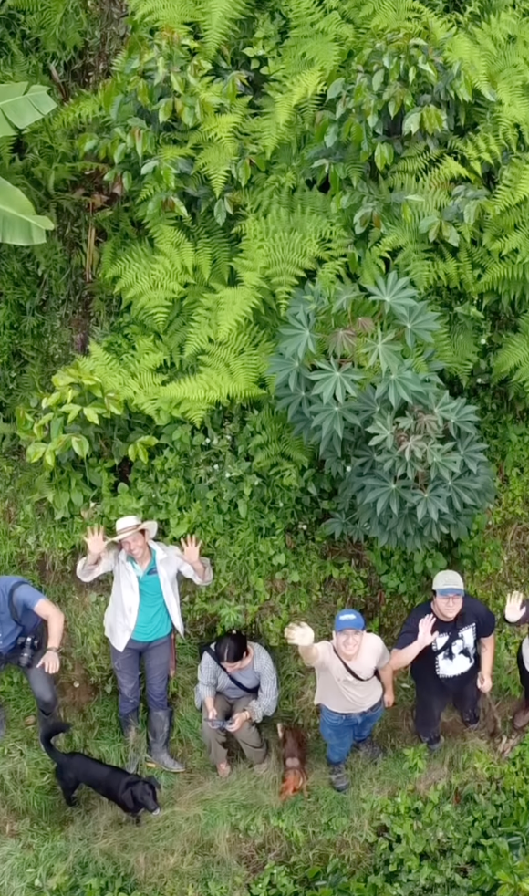 Desnudo Coffee - Wholesale Coffee Beans - Desnudo Adventurous | Floral, Tea-like | Case of 61