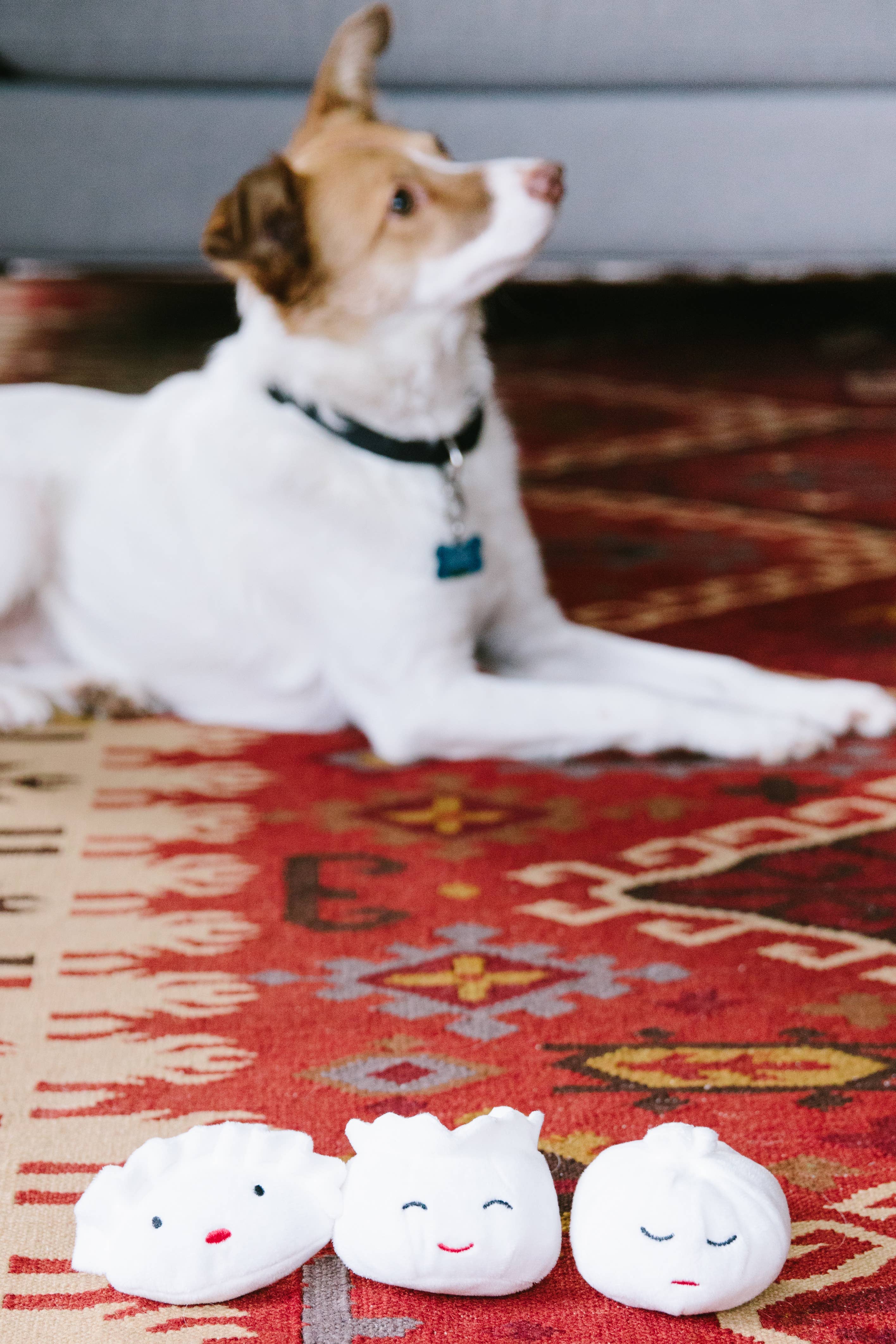 Pearhead - Wholesale Pet Plush Toy - Dog - Dim Sum Pet Toys, Set of 34