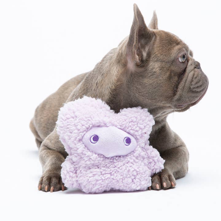 United Pets - Wholesale Pet Plush Toy - Dog - Anti-stress plush with essential oils - Nocciolino2