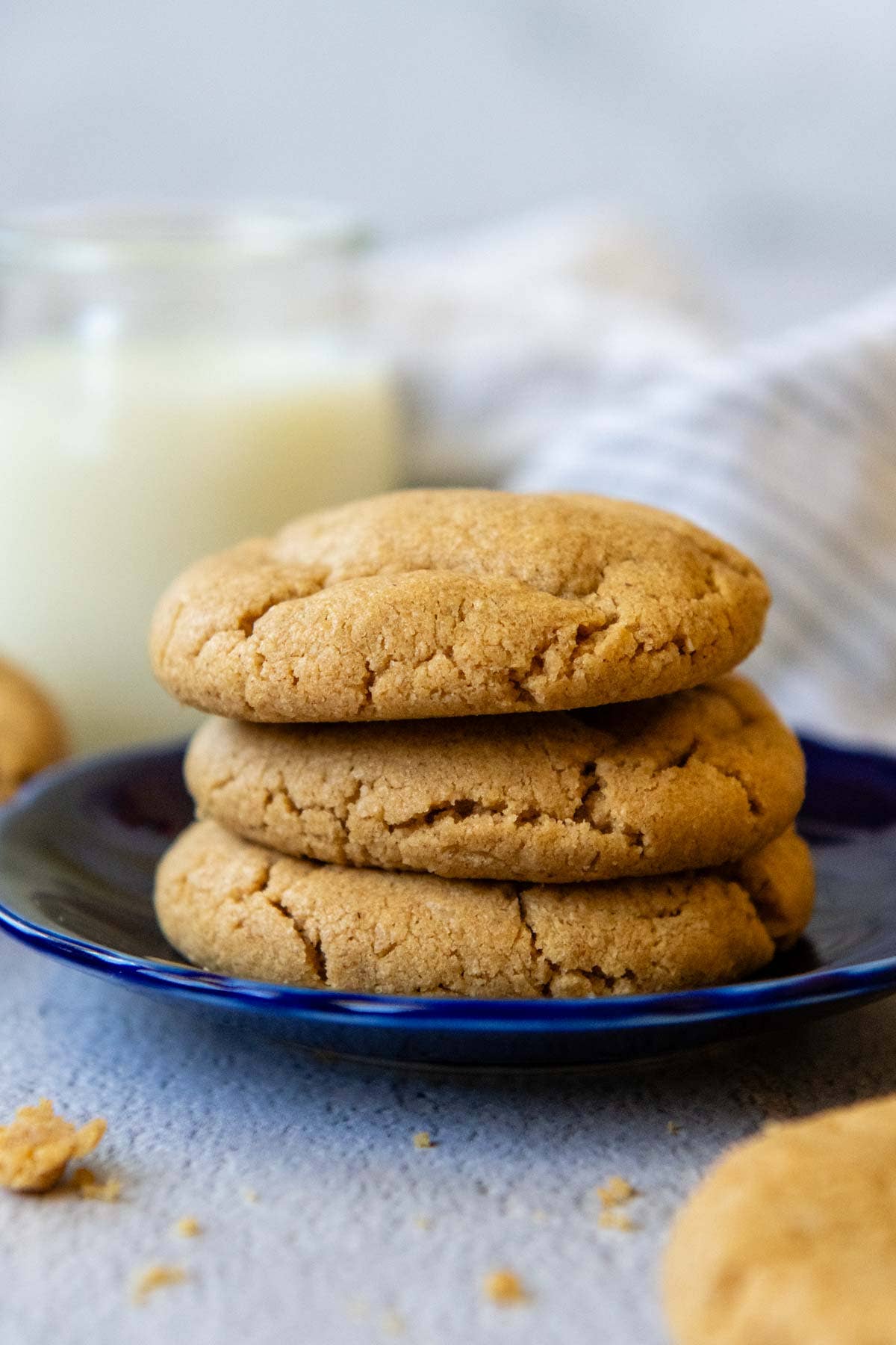 DO Food Ingredients - Vente Farines - Farine d'avoine (régulière ou sans gluten) - Ingrédient en vrac2