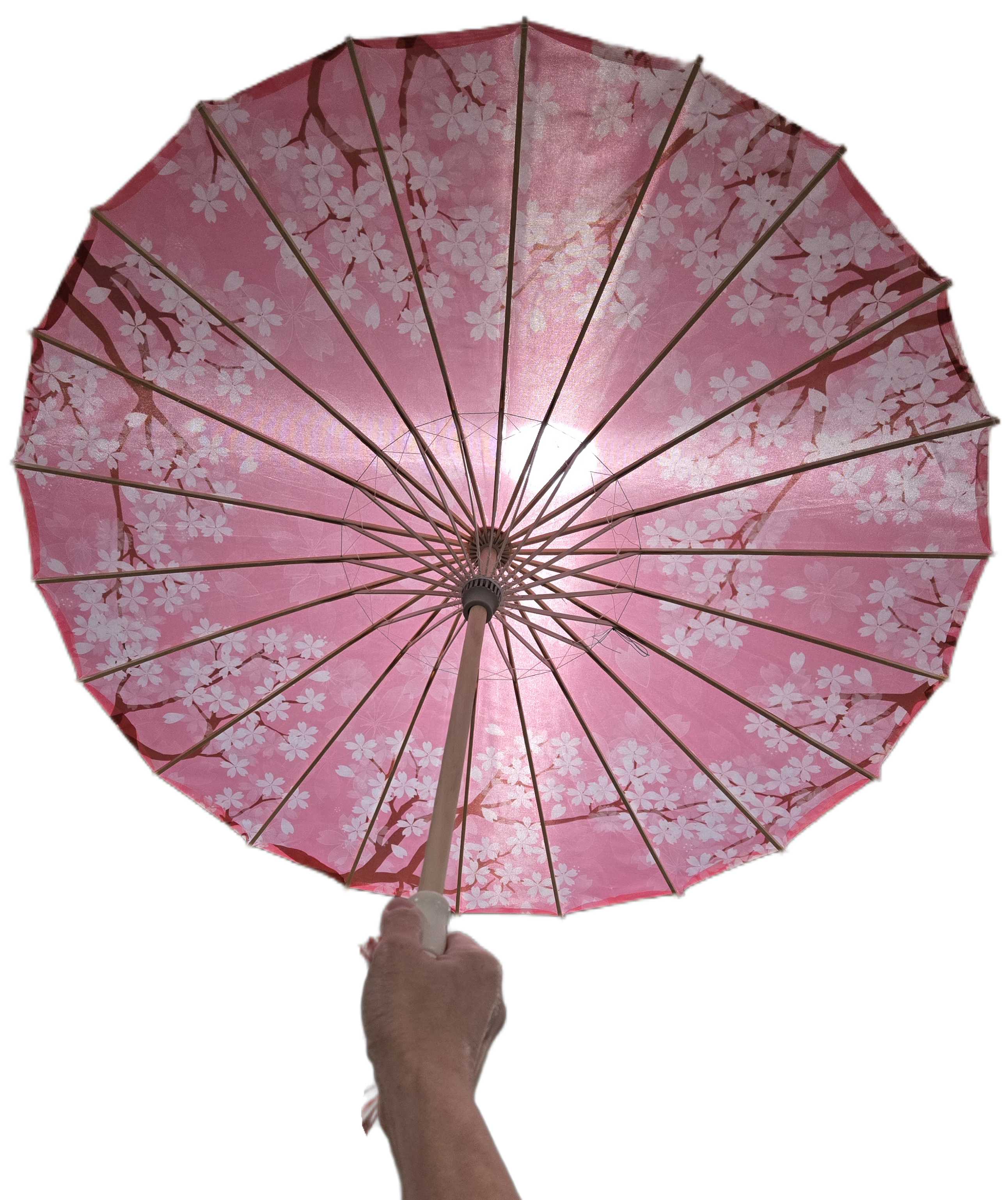 Fiona Accessories - Venta al por mayor Ventilador plegable de mano - Parasol de Flor de Cerezo Sakura 3 Estilos 21.50"9