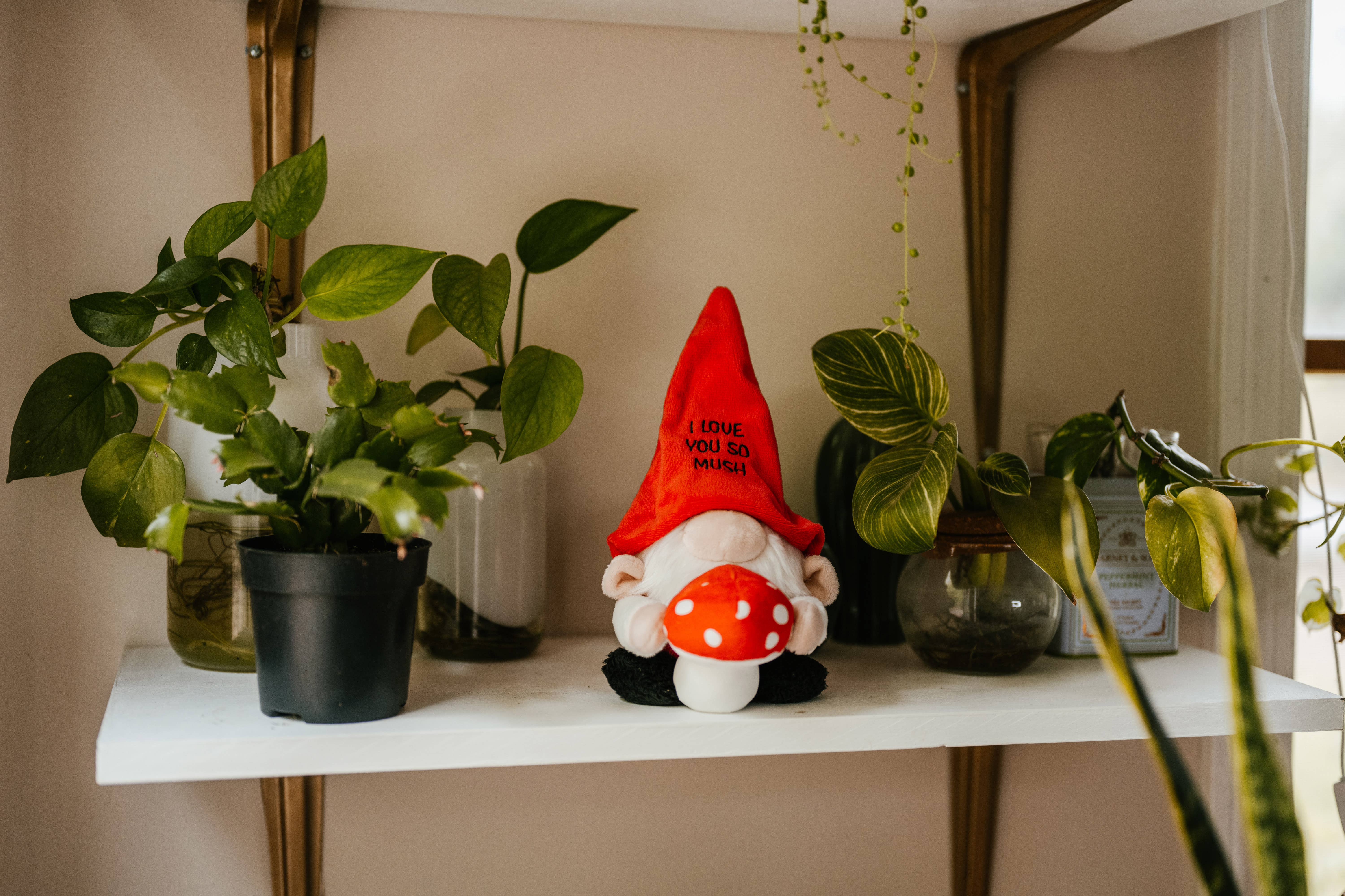 Punchkins - Wholesale Stuffed/Plush Toy - Kids & Baby - Gnome Plush  Love You So Mush  Soft Cuddly Toy Funny Cute3