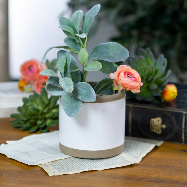 VIP Home & Garden - Wholesale Plant Pot - Ceramic 4.5" Pot