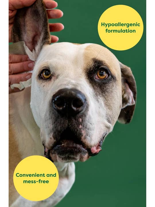 Pet Palette Distribution - Wholesale Pet Grooming Aid - Dog - Earth Rated Dog Ear Cleansing Wipes 60ct Case of 6