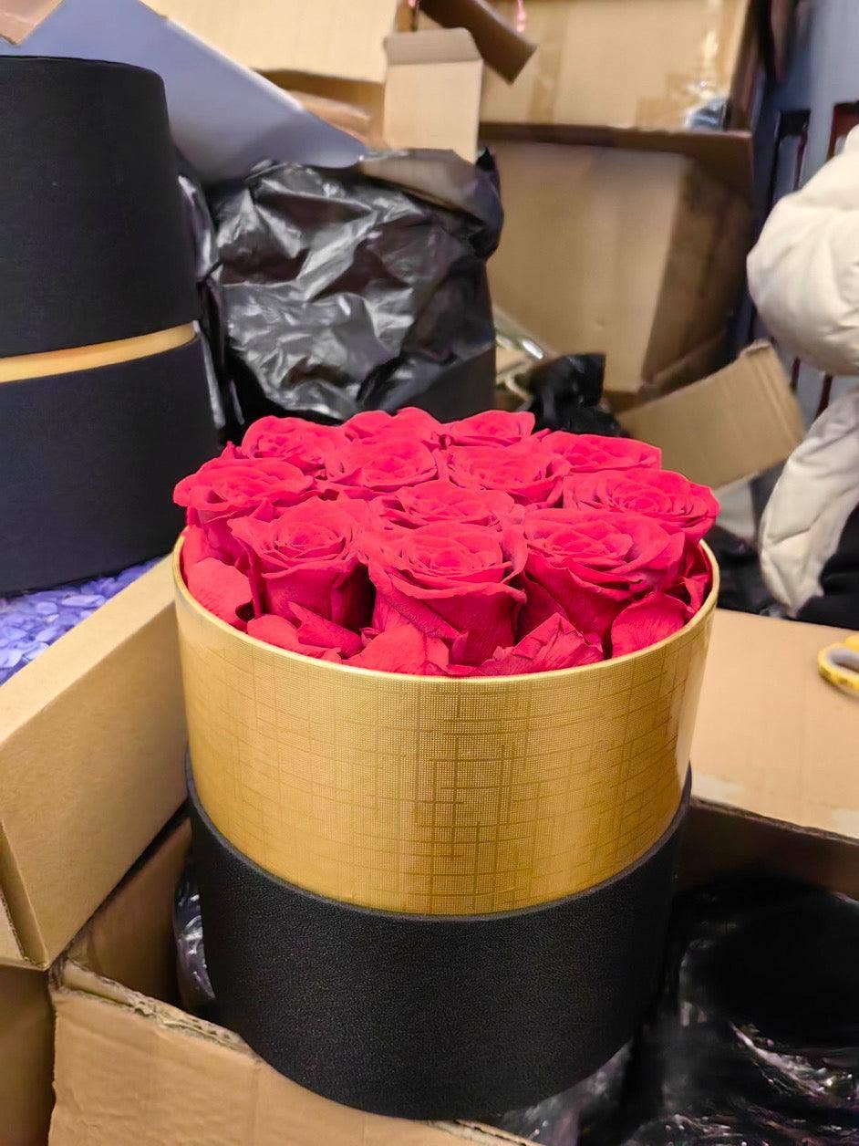 Modern Memory Design Picture Frames - Wholesale Gedroogde/geperste bloemen - 12 Rode Rozen Geconserveerd in Zwarte Doos - Valentijnsdagcadeau2