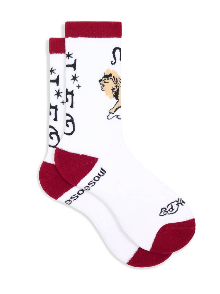 doublesoul - Vente Chaussettes – unisexe - Chaussette haute zodiaque Ed Hardy8