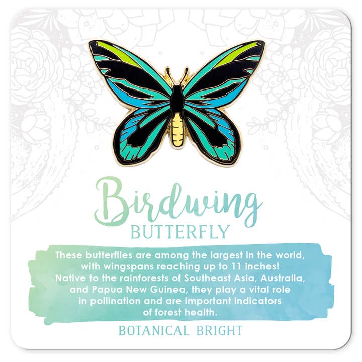 Birdwing Butterfly Enamel Pin for wholesale by Botanical Bright