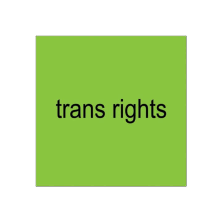 Transfigure Print Co. - Wholesale Sticker - Trans Rights BRAT Charli XCX Sticker
