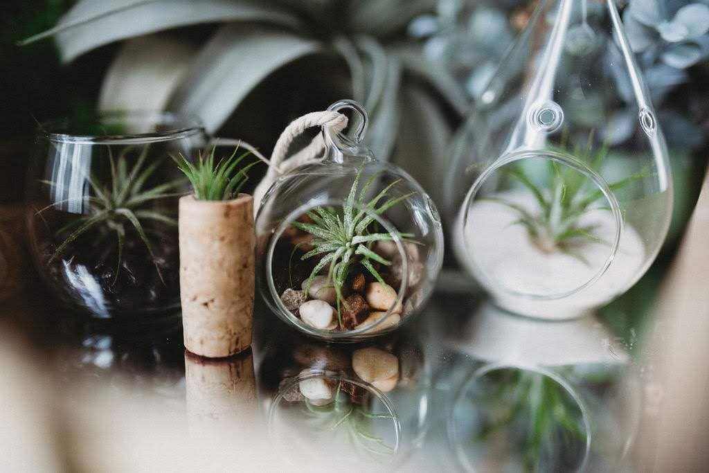 The Simply Crafty Shop - Wholesale Magnet - Magnetic Wine/ Champagne Cork Air Plant Holder6