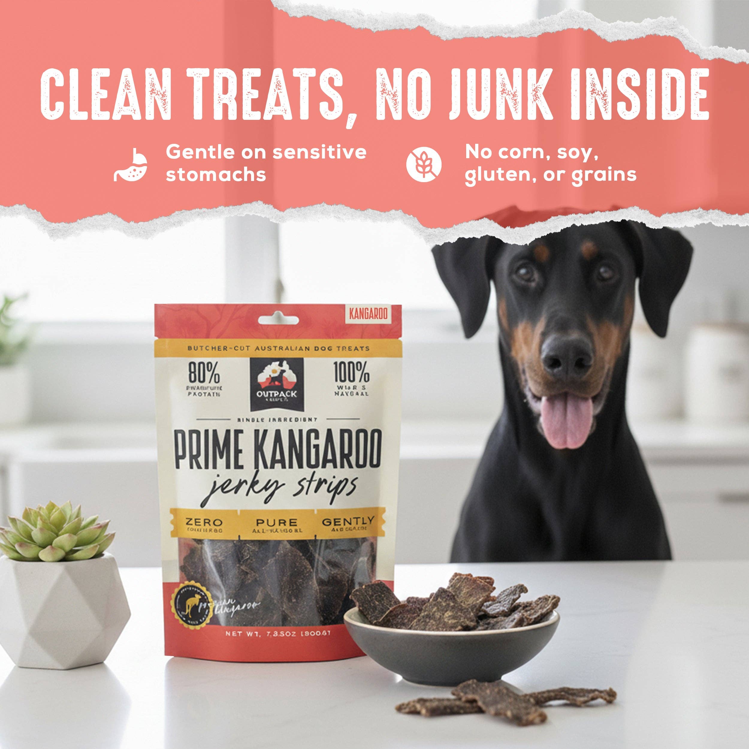 Outback Bones - Wholesale Pet Treats - Dog - Prime Kangaroo Jerky Strips6