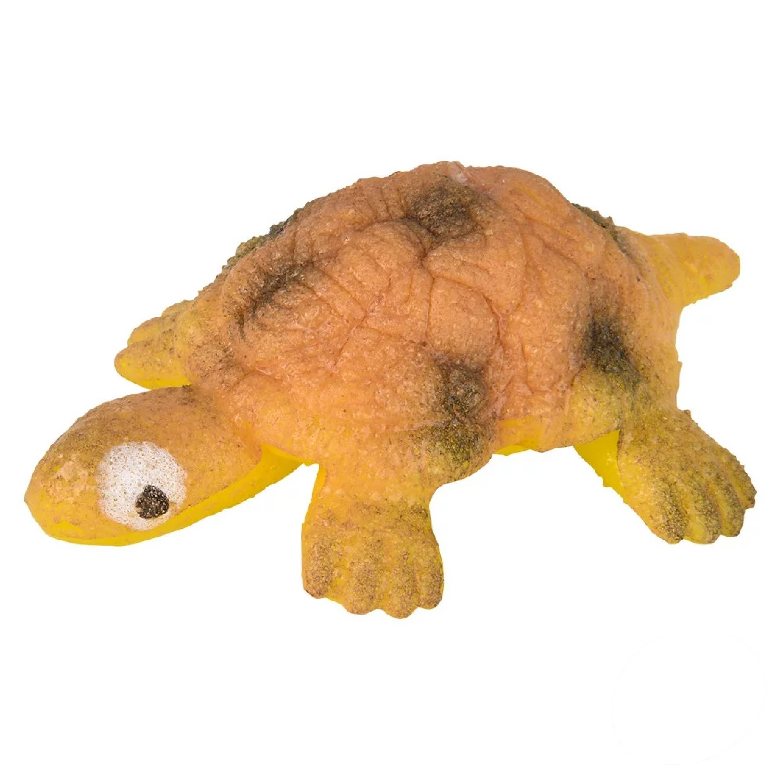 PR GROUPS LLC - Venta al por mayor Juguete tradicional - Niños - Huevo pequeño de tortuga para incubar y crecer3