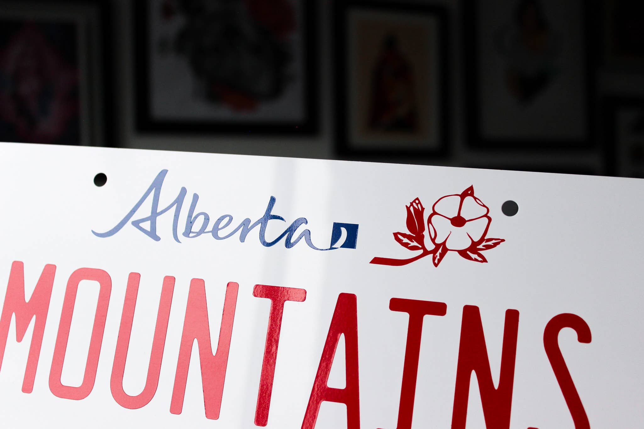 Betina C Koche - Wholesale Sign - Custom Canadian License Plate | Real Size2