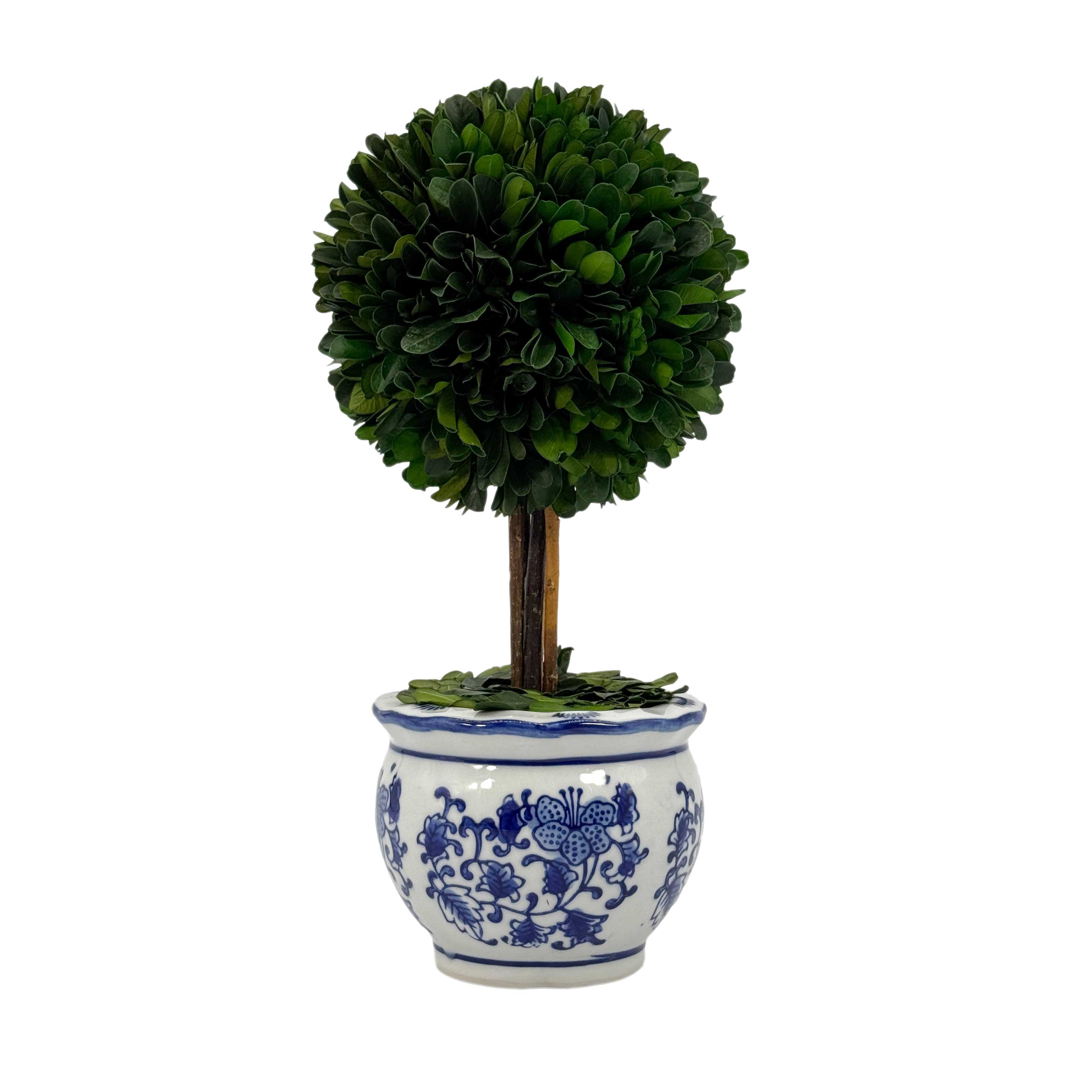 Galt International Company - Vente Plantes artificielles - Arbre topiaire en boule de buis dans un pot rond en céramique bleu et blanc12