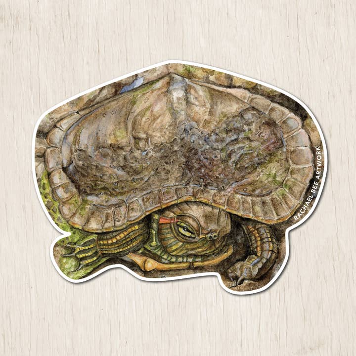 Rachael Bee Artwork - Wholesale Sticker - Turtle Sticker0