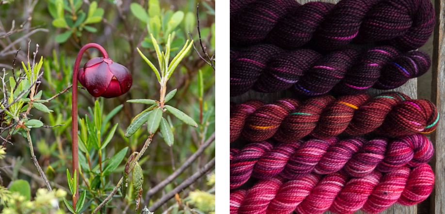 Koigu Wool Designs - Vente Fils à tricoter - Boîtes de Peinture de Fleurs Provinciales (ensembles de mini-écheveaux)21