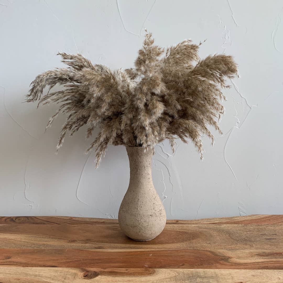 Delmar Decor - Wholesale Dried/pressed flowers - Pampas Grass, Dried floral décor (10 stems per bunch)
