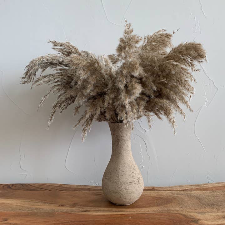 Delmar Decor - Wholesale Dried/pressed flowers - Pampas Grass, Dried floral décor (10 stems per bunch)0