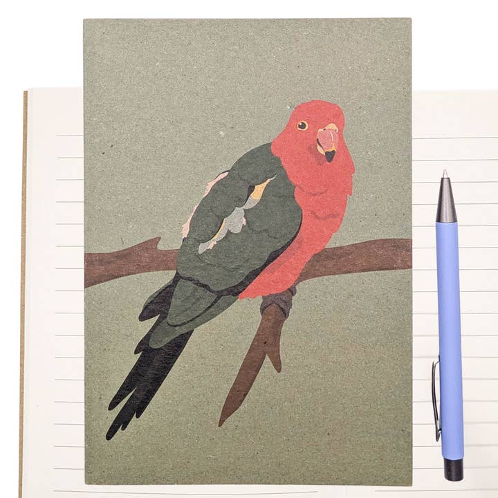 King Parrot Notebook for wholesale by Tilly Scribbles