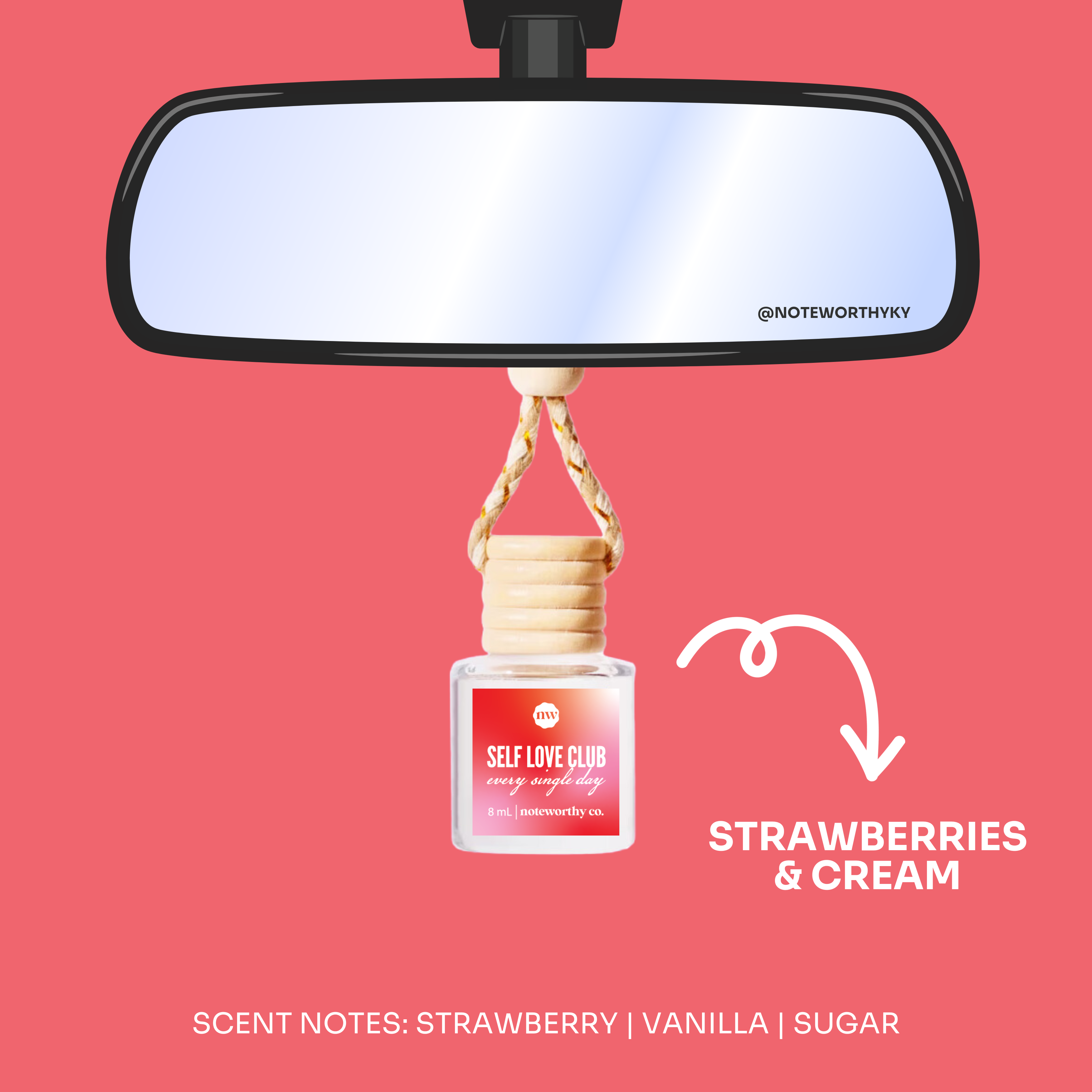 Noteworthy Co - Wholesale Car Freshener - Unisex - Car Diffusers | Valentine Collection3