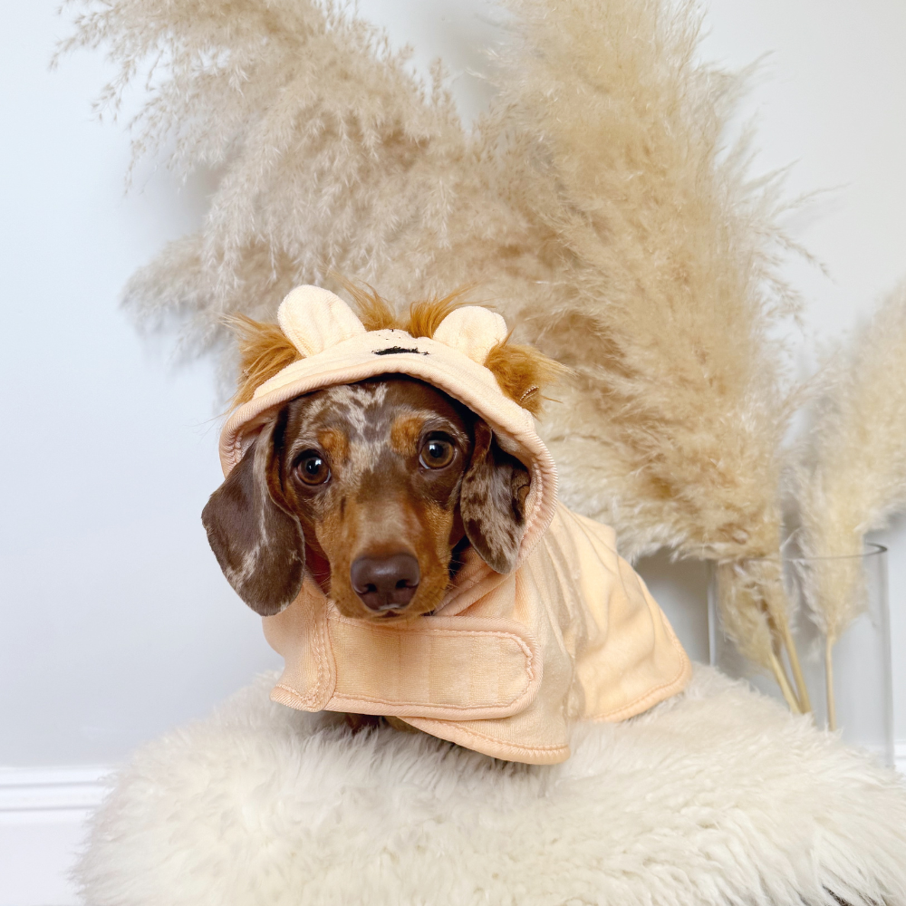 Cocopup London - Venta al por mayor Sudadera - Perros - Bata para secar perros Roary el León9