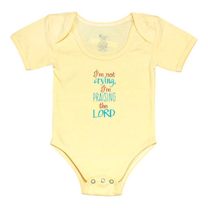 Babyshirt Prijst De Heer 3-6mnd voor wholesale door Dicksons