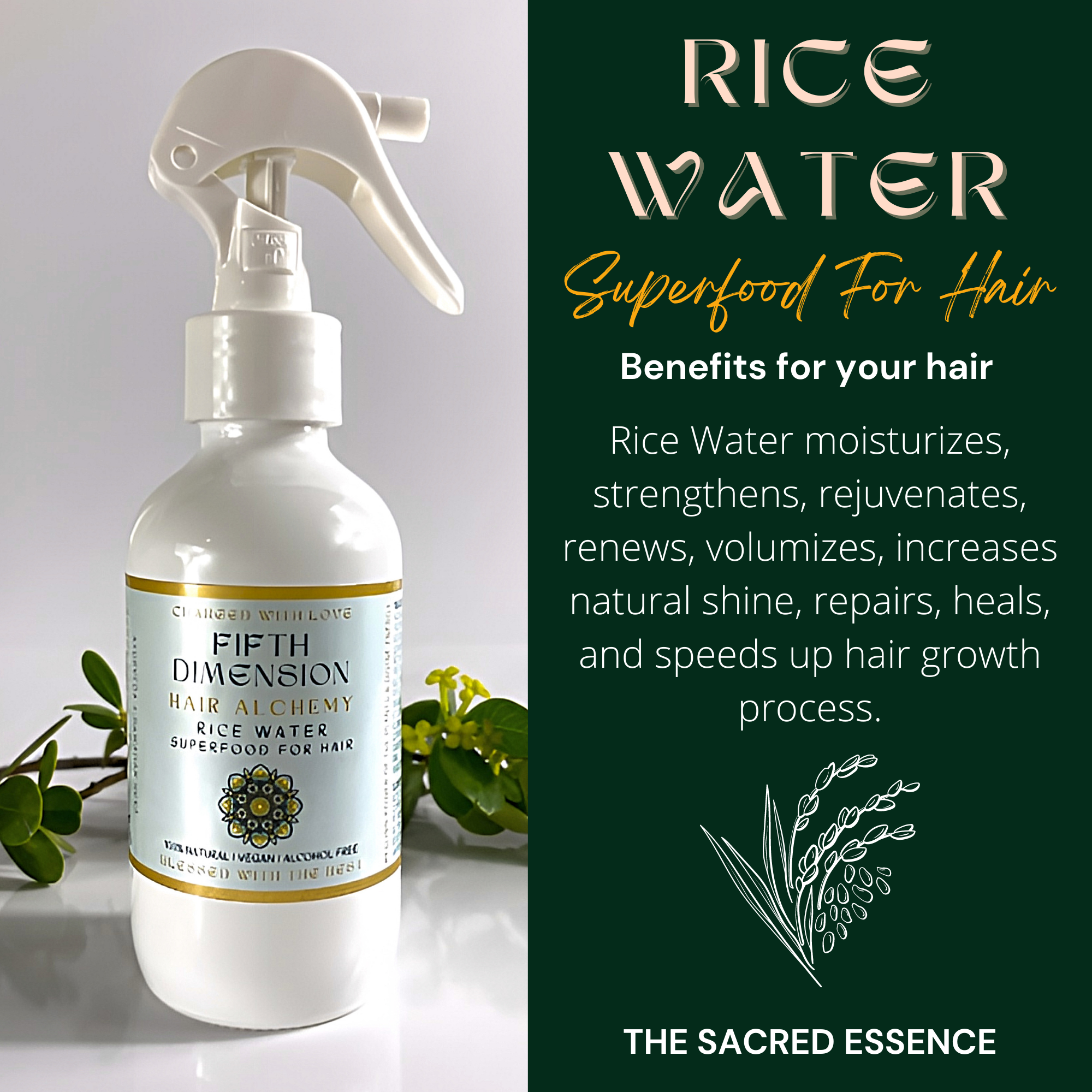 The Sacred Essence – wholesale Scalp/hair treatment – FIFTH DIMENSION RICE WATER - Hair Strength Superpower4