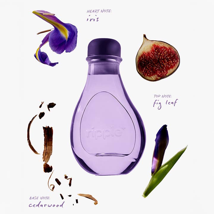 ripple⁺ home - Wholesale Reed Diffuser - Fig Leaf Scented Reed Diffuser | 150ml | Luxury Scents2