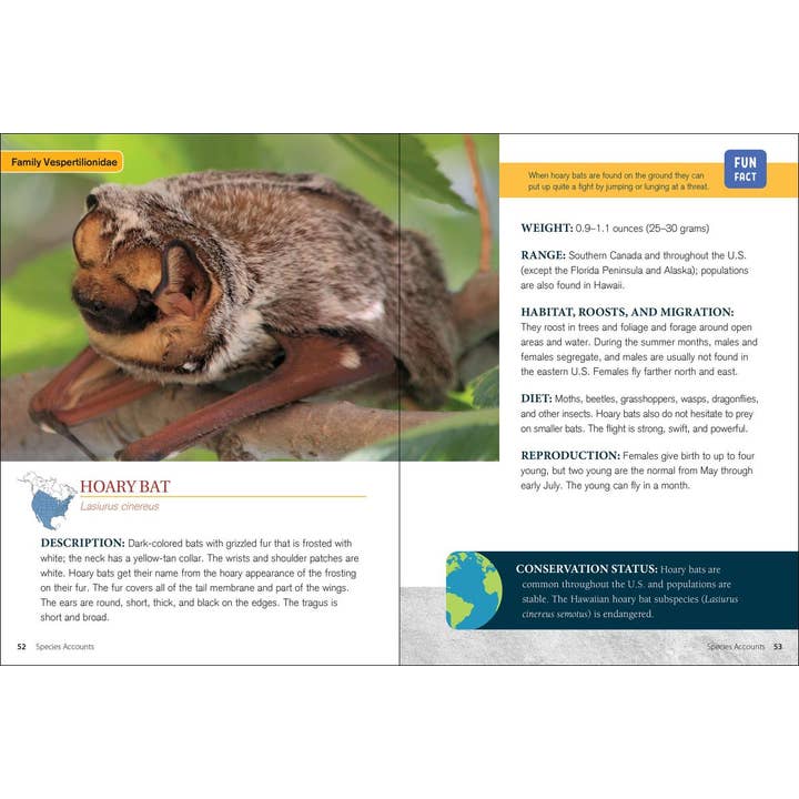 AdventureKEEN - Wholesale Book - Adult - Bat Basics