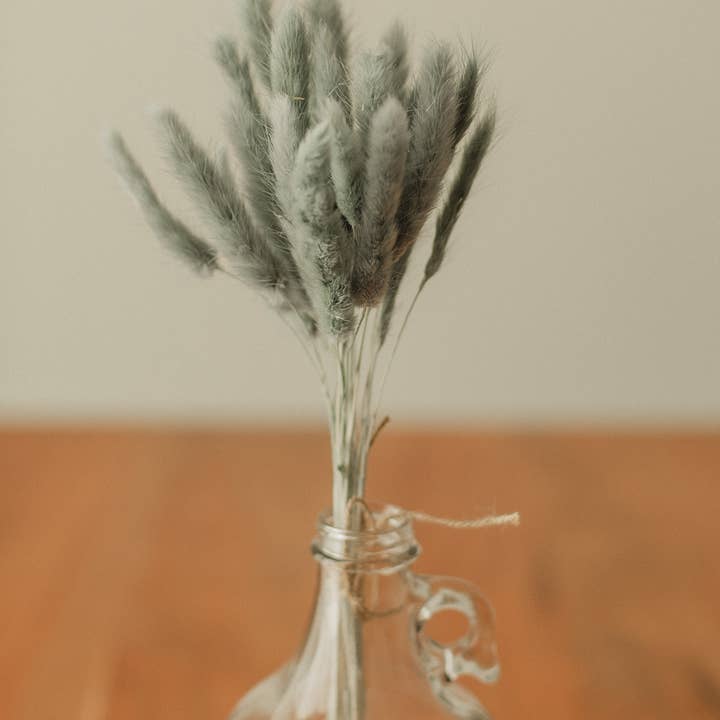 Eucalypt Co. - Wholesale Dried/Pressed Flowers - Bunny Tails