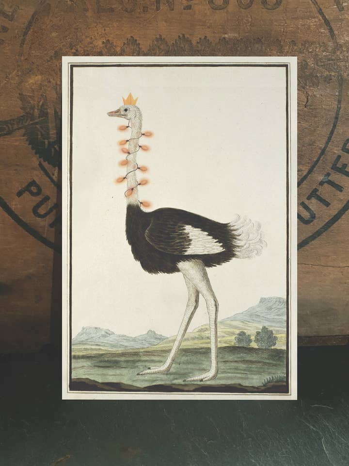 Christmas Ostrich for wholesale by Irreverent Cards for Challenging Times