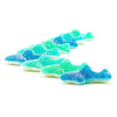 Sour Shark Gummies for wholesale by Zazoli Sweets LLC
