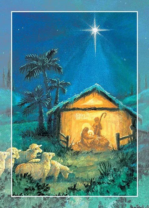 Shade Tree Greetings - Vente Cartes de Noël - Carte de Noël FRS 606/61370