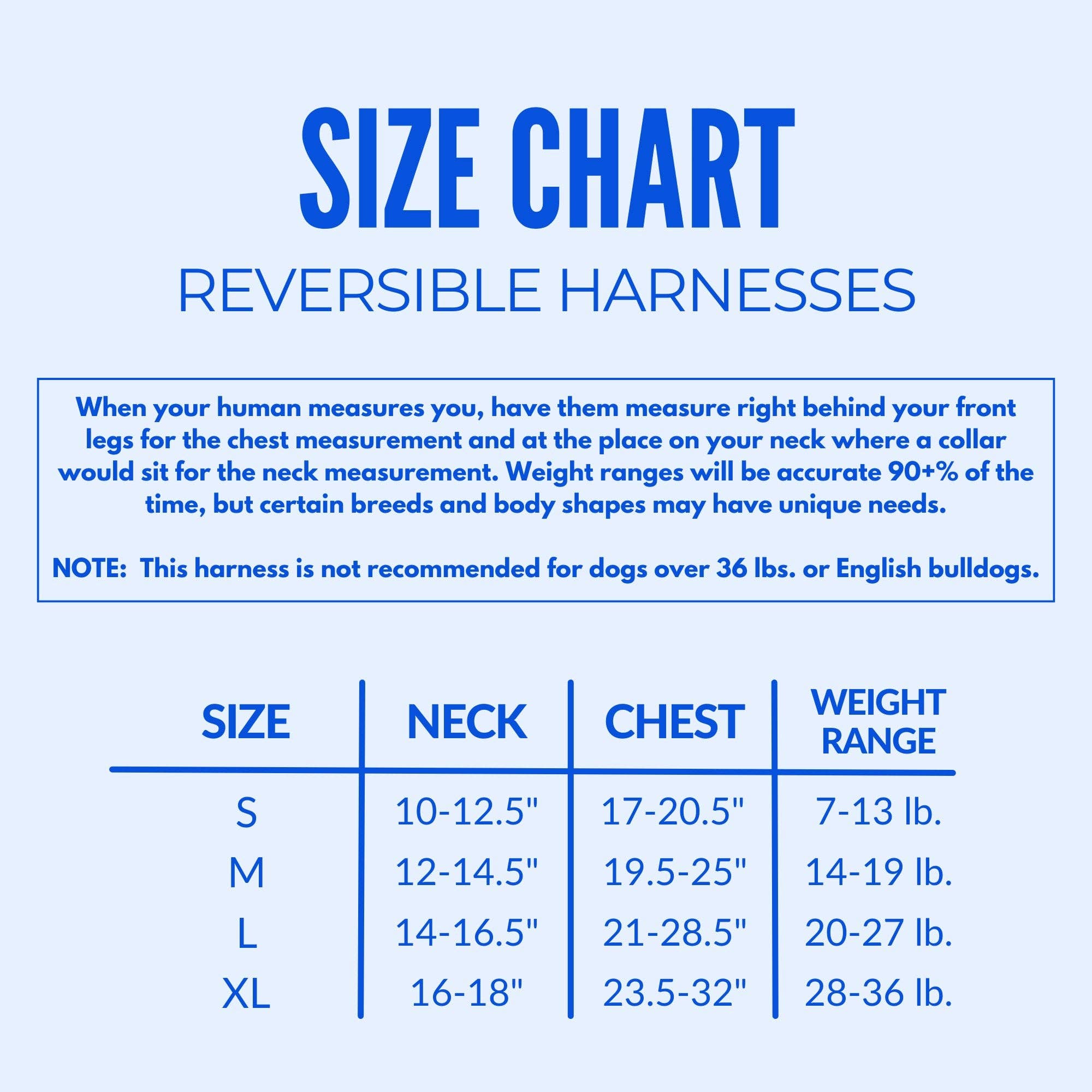 Beast & Buckle - Wholesale Pet Harness - Dog - Sugar Skulls Reversible Dog Harness4