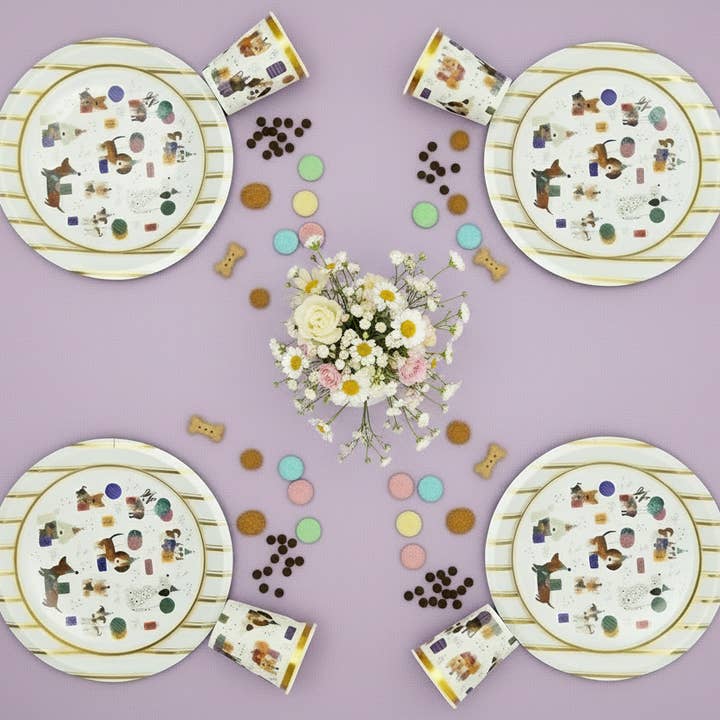 Forniture per Feste di Cani in una Scatola per la vendita all'ingrosso da parte di Pooka Party