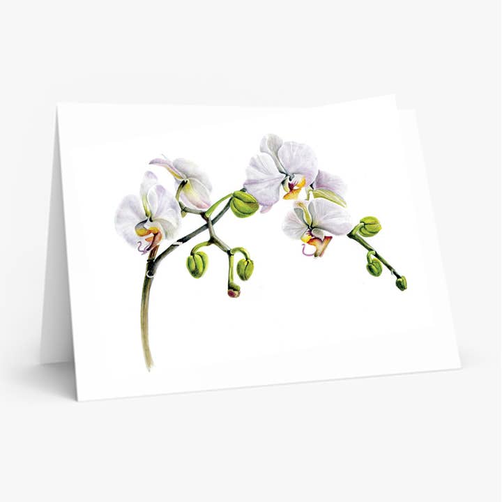 Orchid Branch Card for wholesale by Bobbi Lee Wilson Art Cards