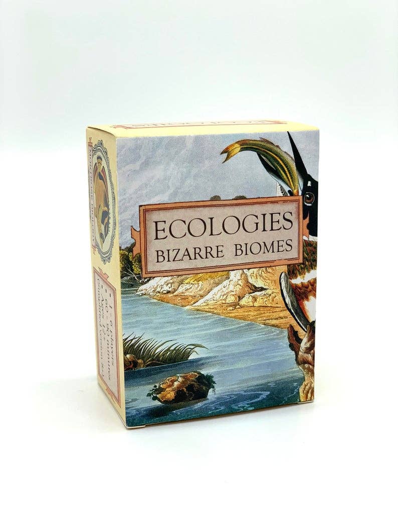 Montrose Biology - Wholesale Card Game - Ecologies: Bizarre Biomes10