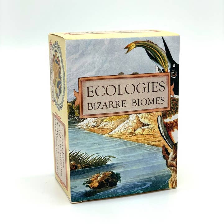 Montrose Biology - Wholesale Card Game - Ecologies: Bizarre Biomes10