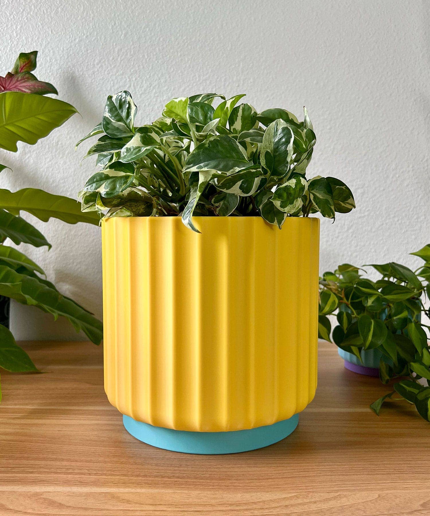 Daisy Wood Design - Wholesale Plant Pot - Bold Color Pop 8" Planters – Colorful Dreamhouse Singles3