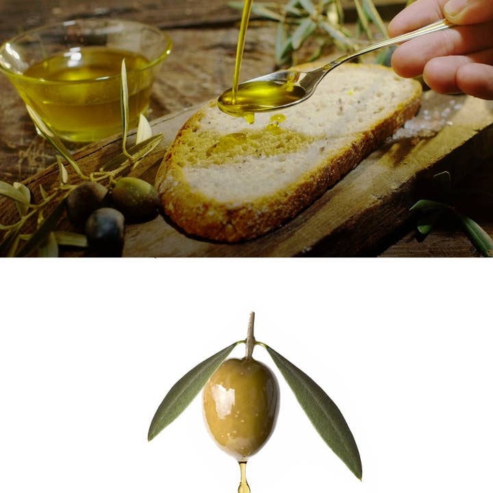 Khayyan Specialty Foods - Wholesale Olive Oil - Olivar SANTAMARIA Hojiblanca 5 Liter Extra Virgin Olive Oil2